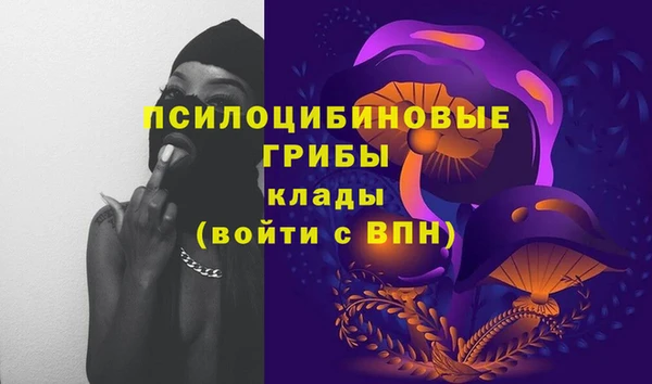 таблы Бородино