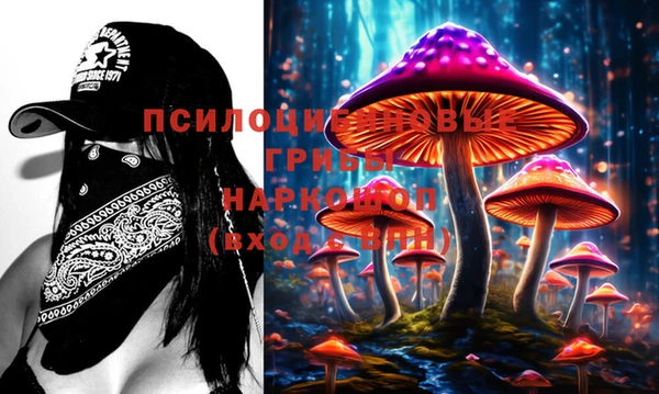 таблы Бородино
