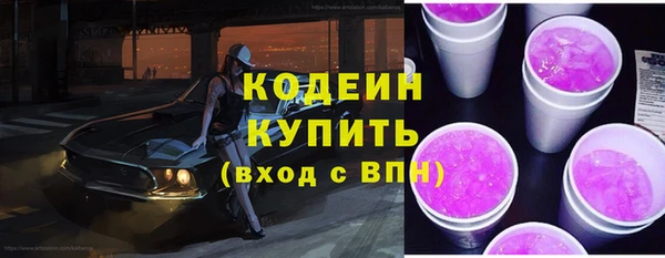 таблы Бородино