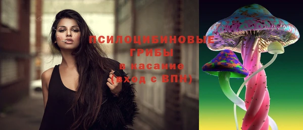 сатива Бугульма