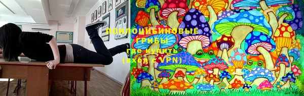 бошки Бронницы