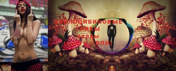 бошки Бронницы