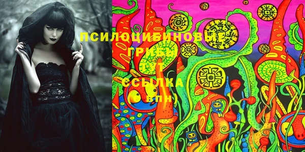сатива Бугульма