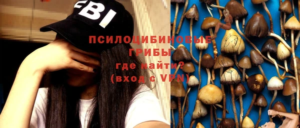 сатива Бугульма