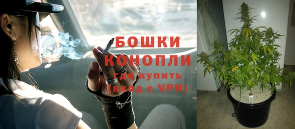 сатива Бугульма