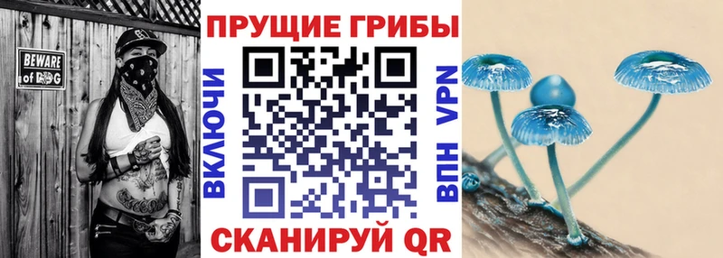 Псилоцибиновые грибы Psilocybine cubensis  Купить закладки  Петухово 
